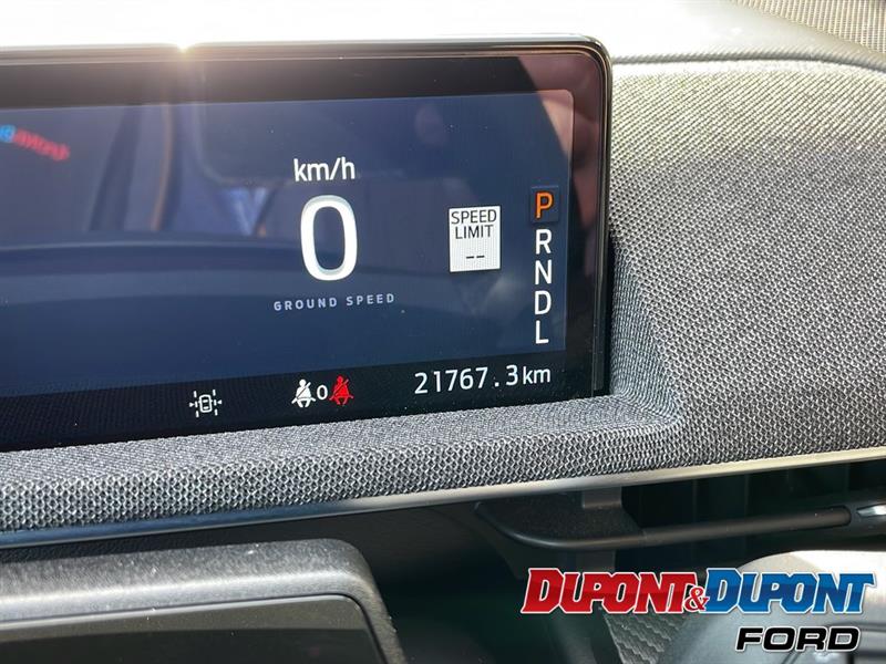 Ford Mustang Mach-e 24