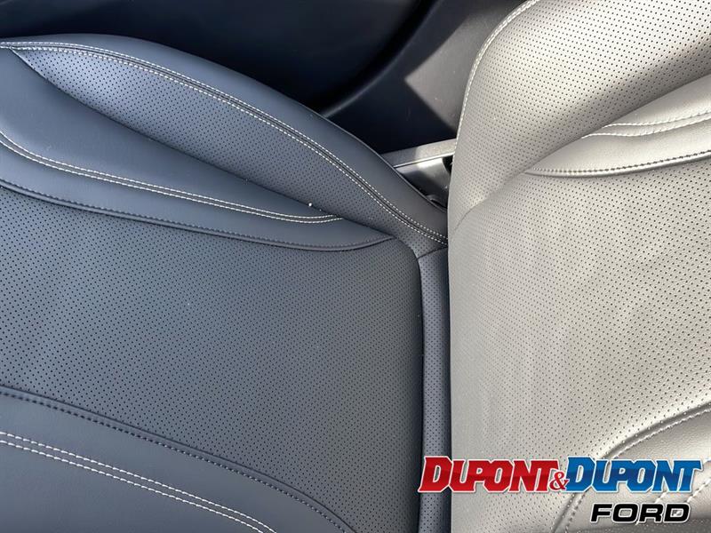 Ford Mustang Mach-e 25