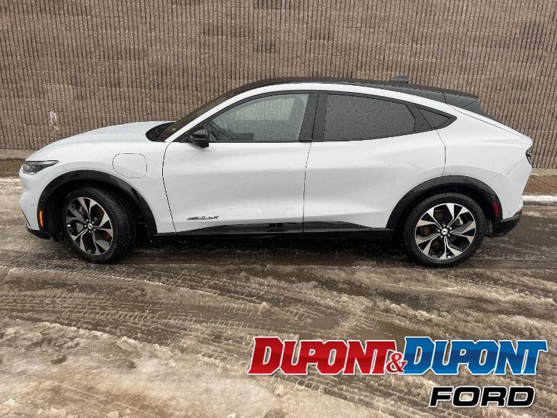 Ford Mustang Mach-e 2