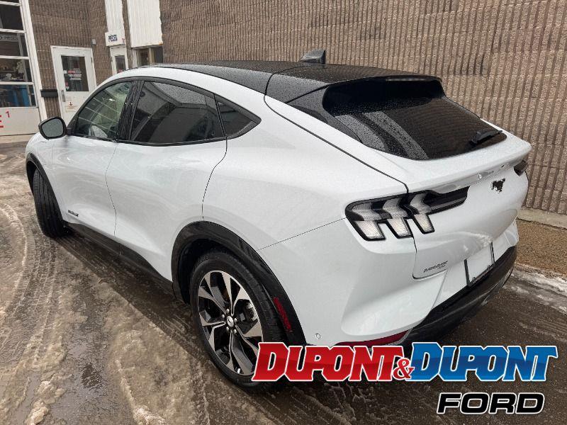 Ford Mustang Mach-e 3