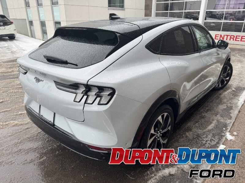 Ford Mustang Mach-e 5