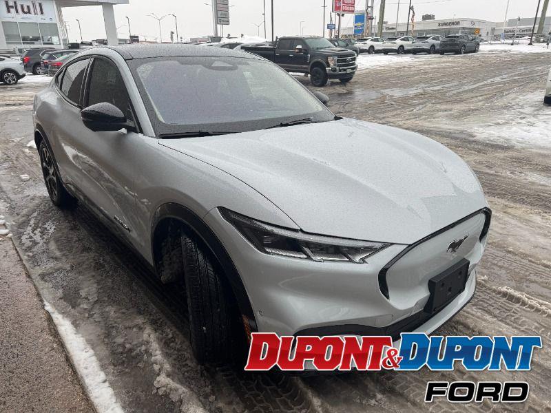 Ford Mustang Mach-e 6