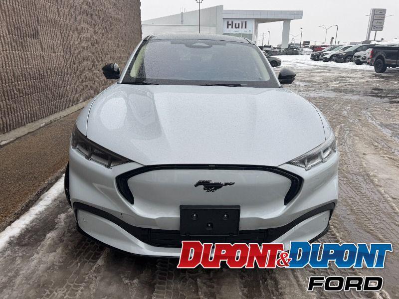 Ford Mustang Mach-e 7