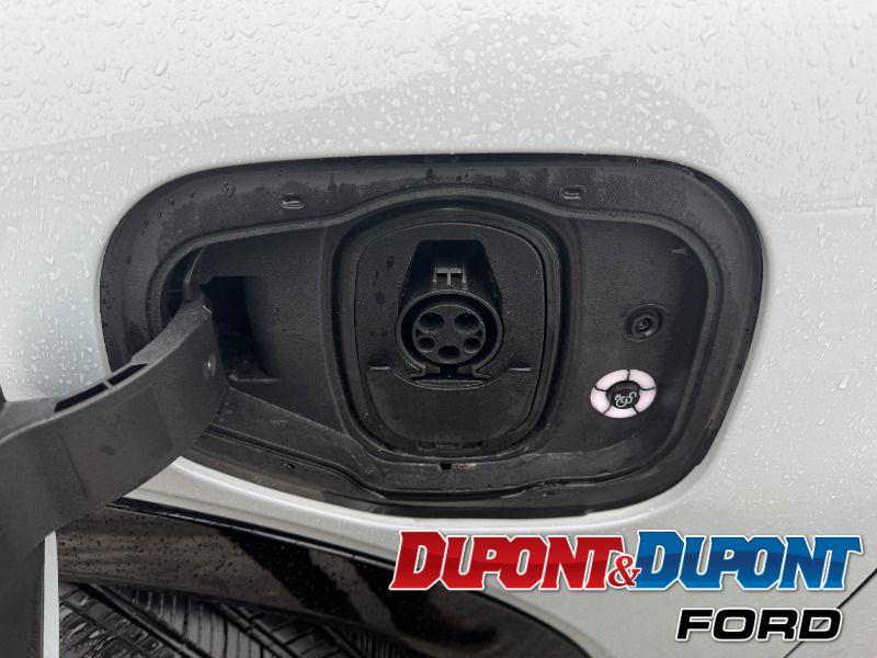 Ford Mustang Mach-e 9