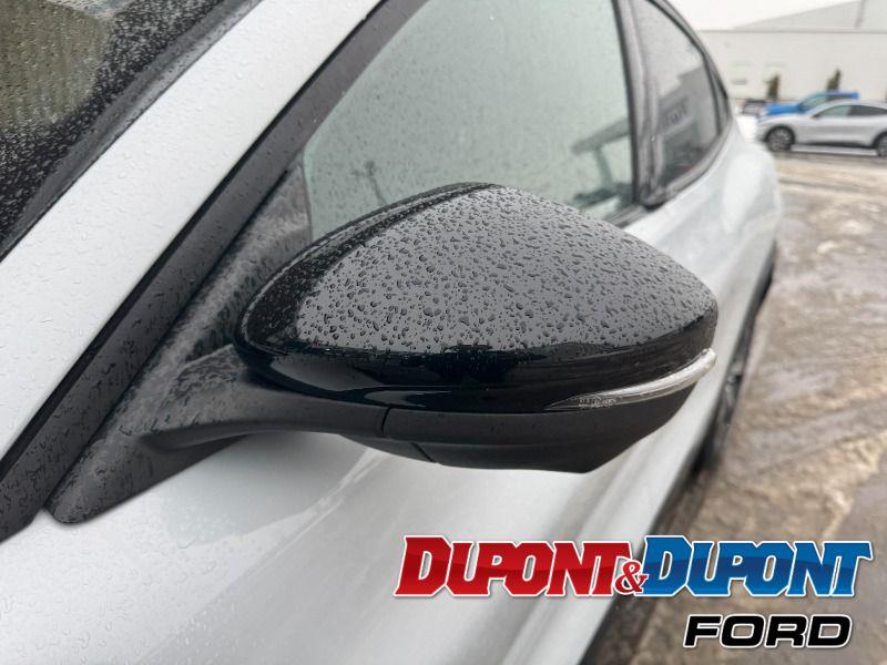 Ford Mustang Mach-e 10