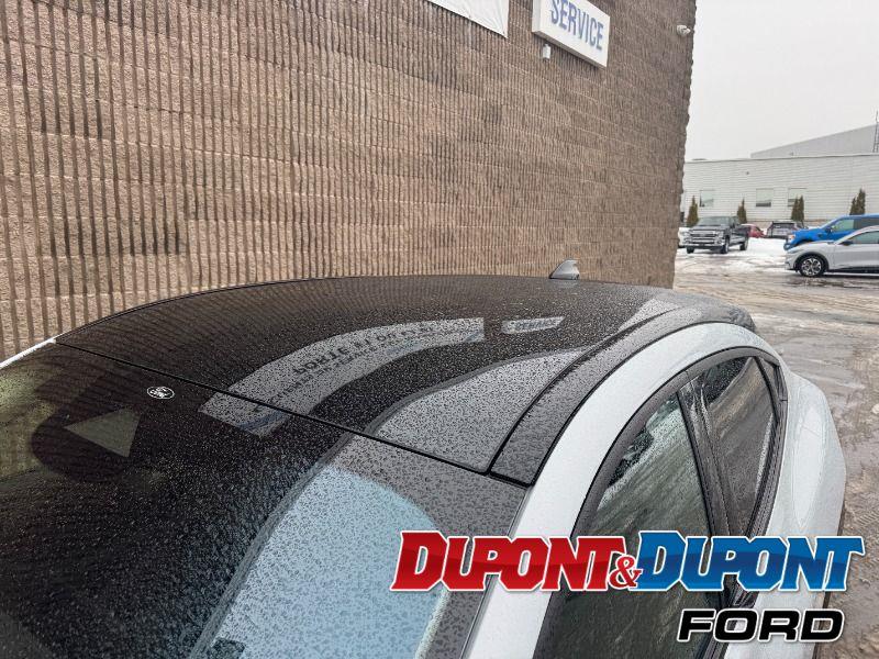 Ford Mustang Mach-e 11