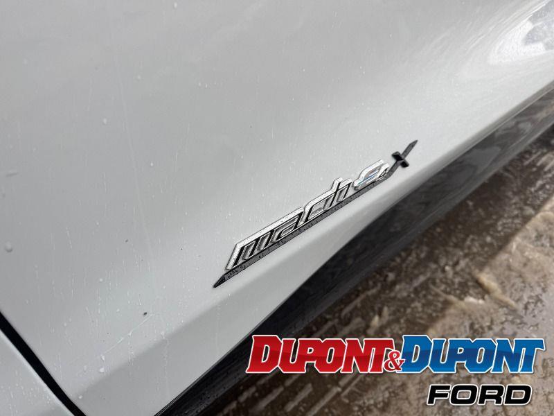 Ford Mustang Mach-e 12