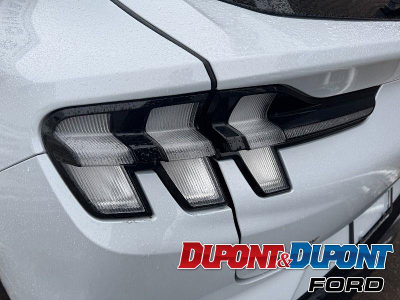 Ford Mustang Mach-e 13