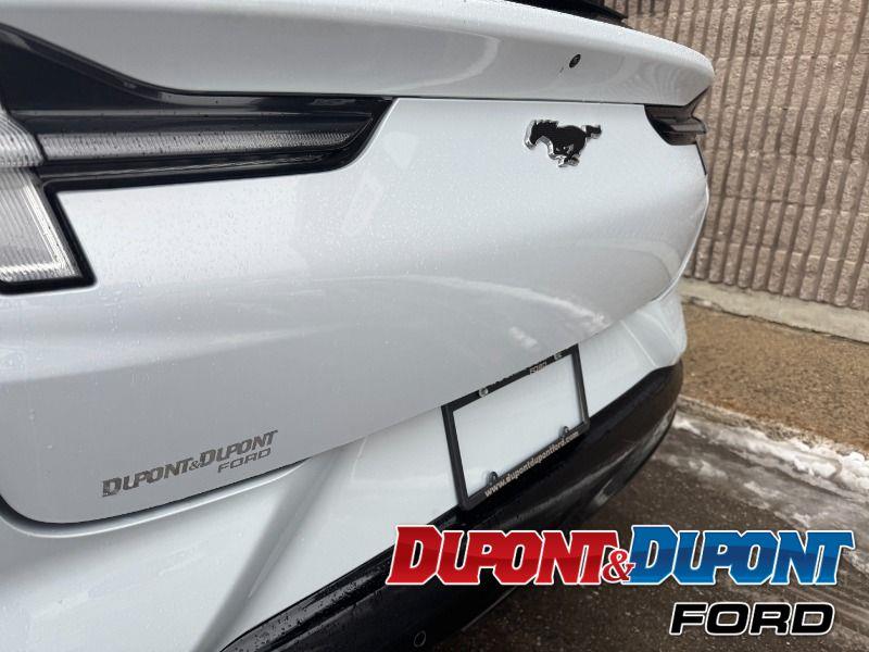 Ford Mustang Mach-e 14