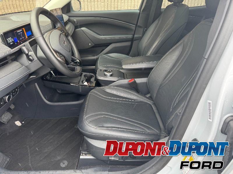 Ford Mustang Mach-e 19