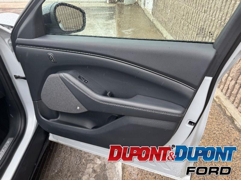 Ford Mustang Mach-e 25