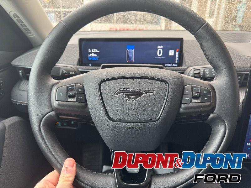 Ford Mustang Mach-e 29