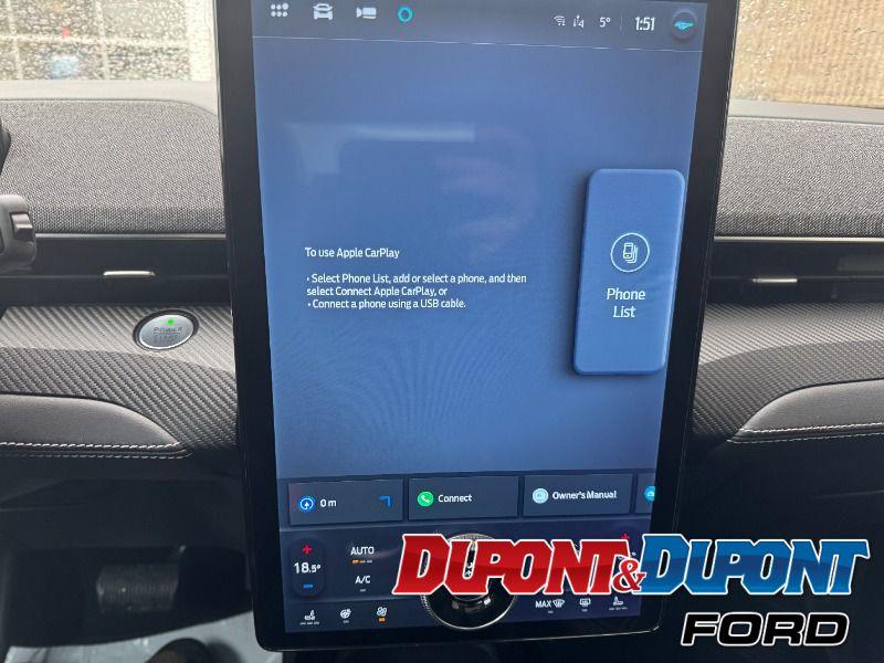 Ford Mustang Mach-e 30