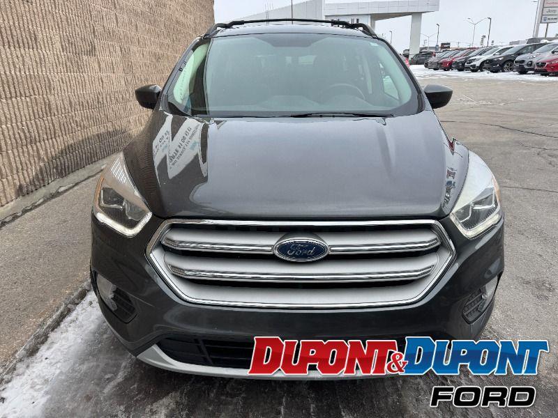 Ford Escape 7
