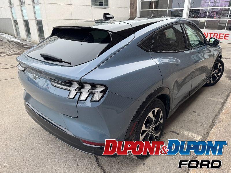 Ford Mustang Mach-e 5