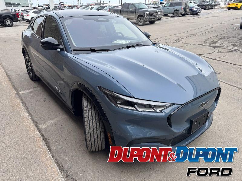 Ford Mustang Mach-e 6