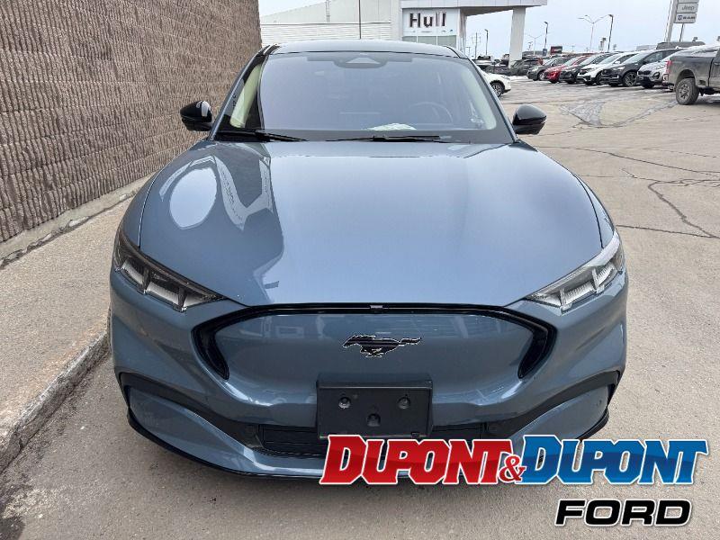 Ford Mustang Mach-e 7