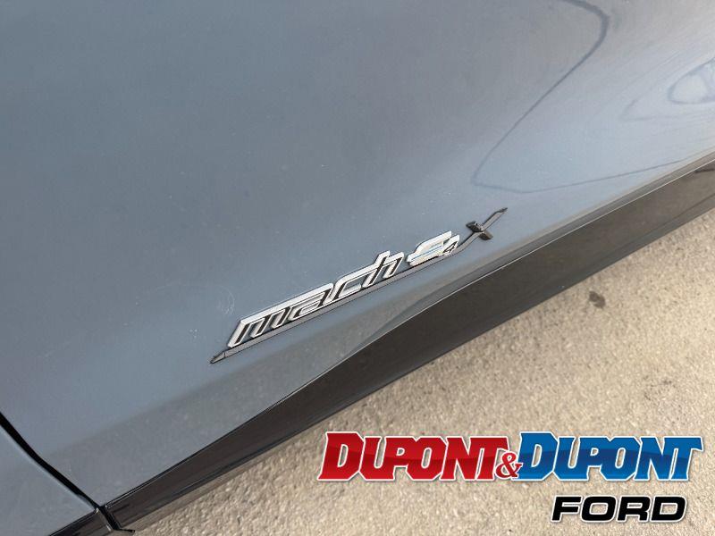 Ford Mustang Mach-e 10