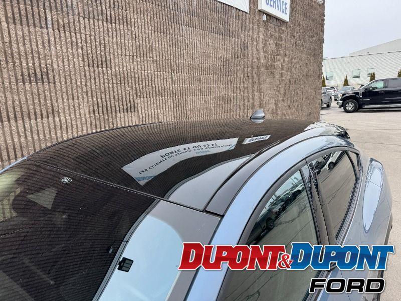 Ford Mustang Mach-e 12