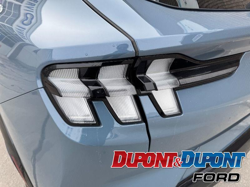 Ford Mustang Mach-e 13