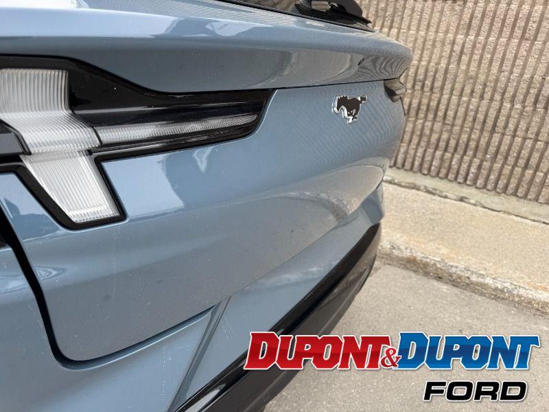 Ford Mustang Mach-e 14