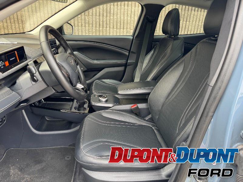 Ford Mustang Mach-e 19