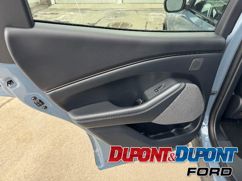 Ford Mustang Mach-e 20