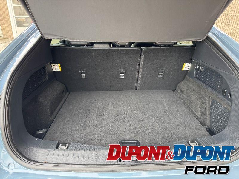 Ford Mustang Mach-e 22