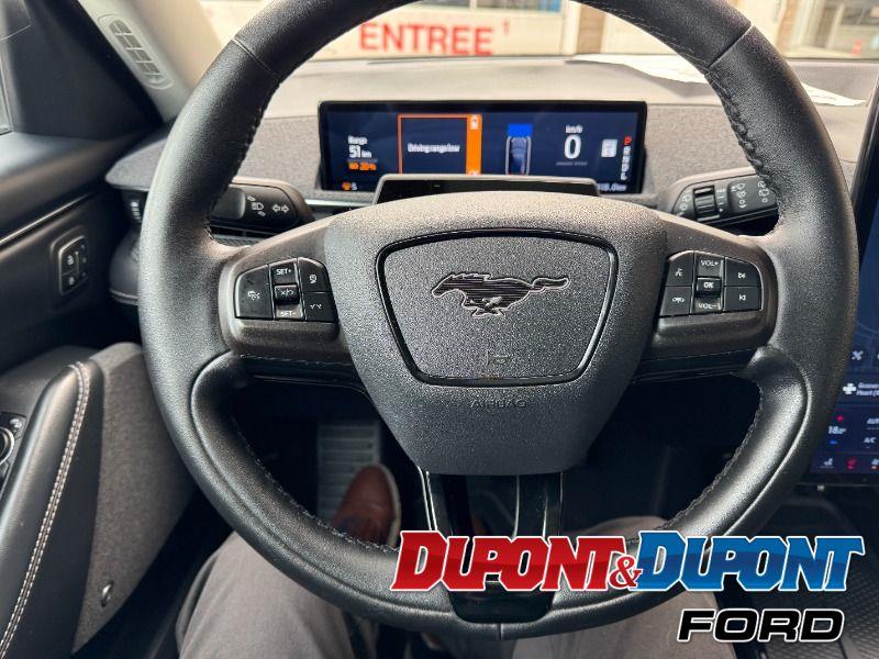 Ford Mustang Mach-e 29