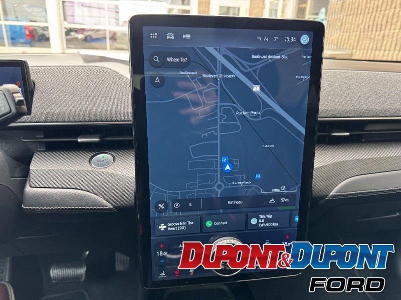 Ford Mustang Mach-e 30