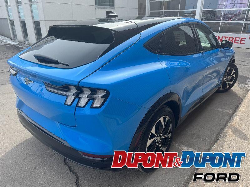 Ford Mustang Mach-e 5