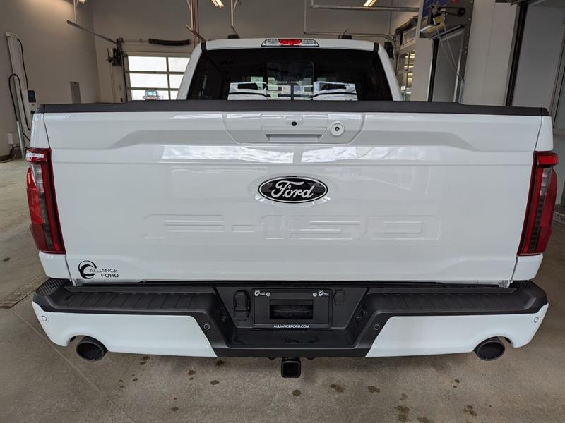 Ford F-150 10