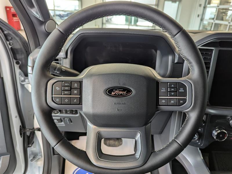Ford F-150 17