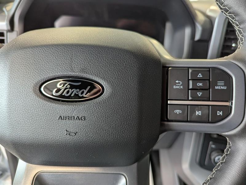Ford F-150 19