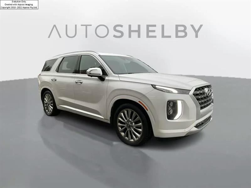 Hyundai Palisade 10