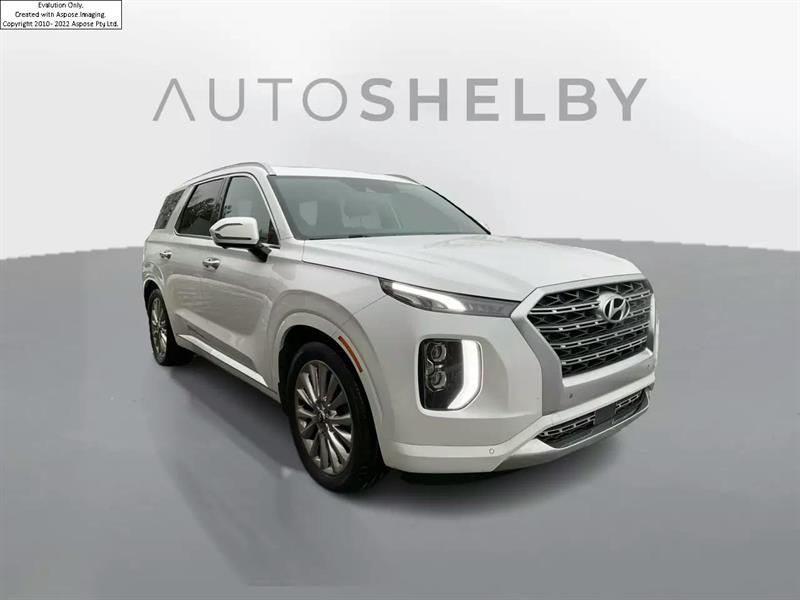 Hyundai Palisade 11