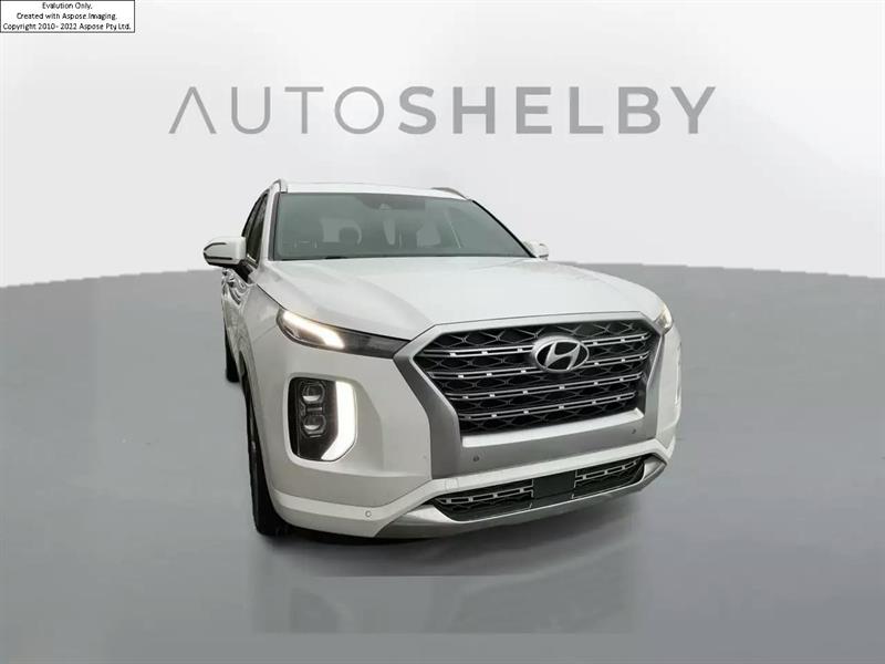 Hyundai Palisade 12