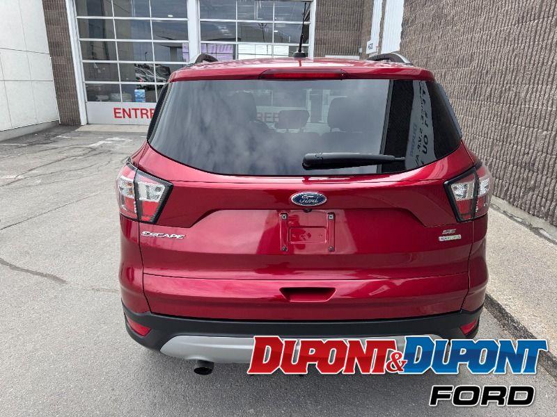 Ford Escape 4