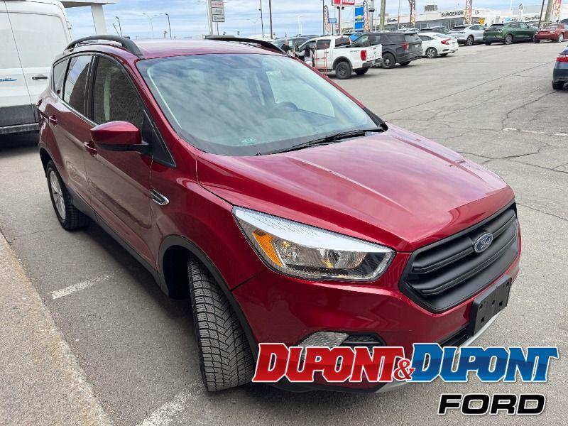 Ford Escape 6
