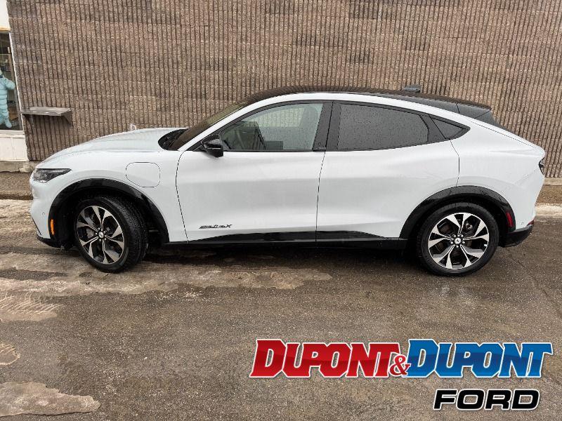 Ford Mustang Mach-e 2