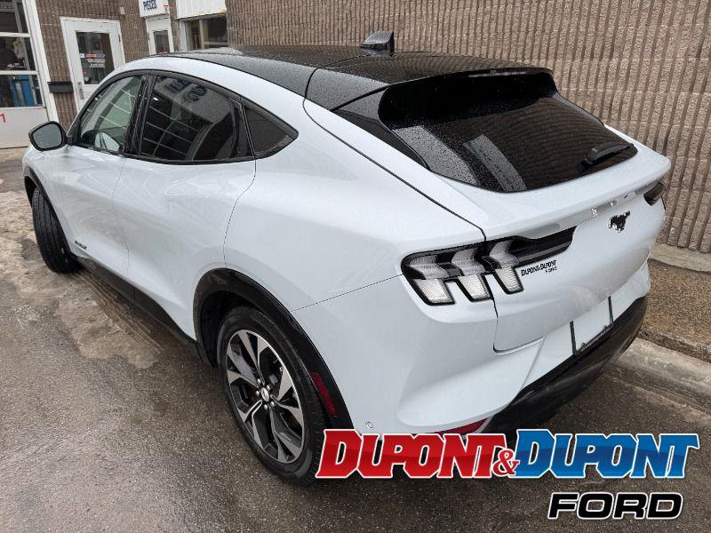 Ford Mustang Mach-e 4
