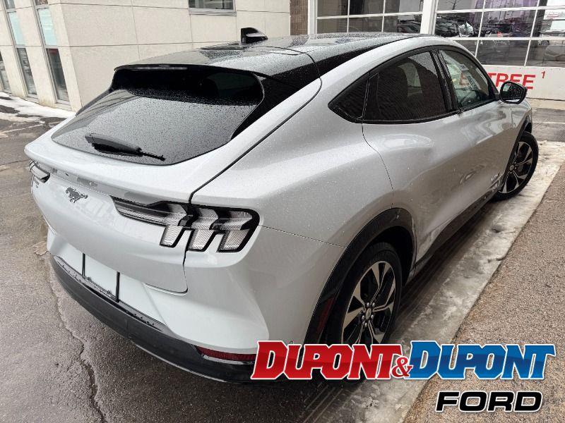 Ford Mustang Mach-e 6