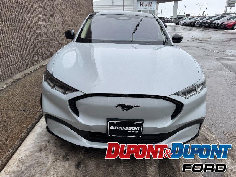 Ford Mustang Mach-e 8