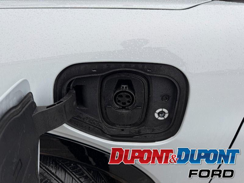 Ford Mustang Mach-e 11