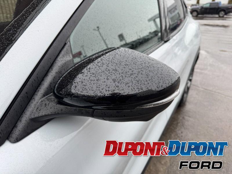 Ford Mustang Mach-e 12