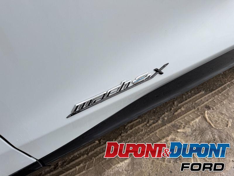 Ford Mustang Mach-e 13