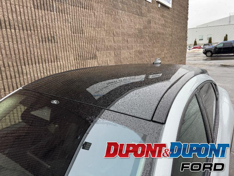 Ford Mustang Mach-e 14