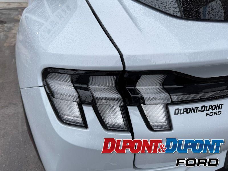 Ford Mustang Mach-e 15