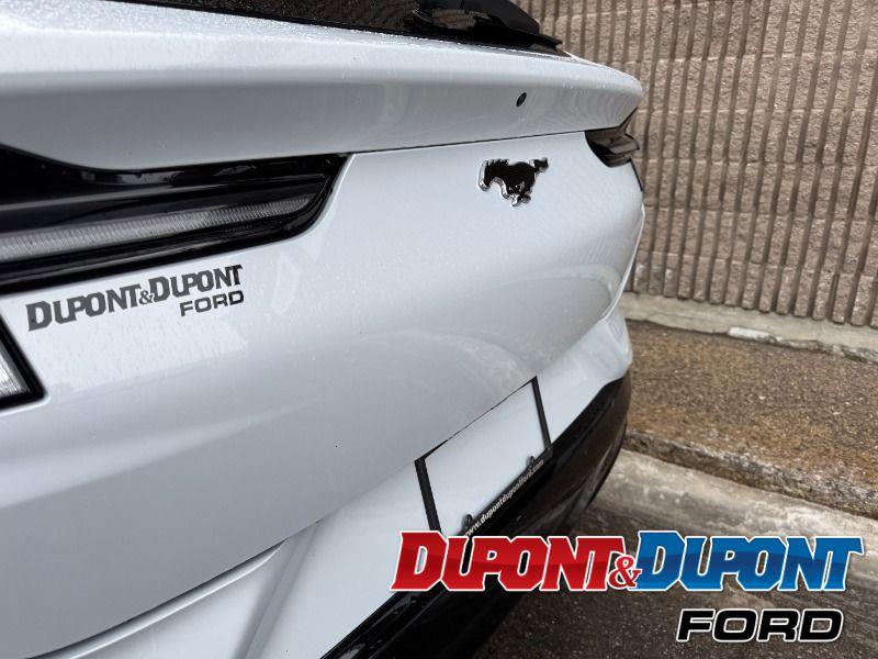 Ford Mustang Mach-e 16