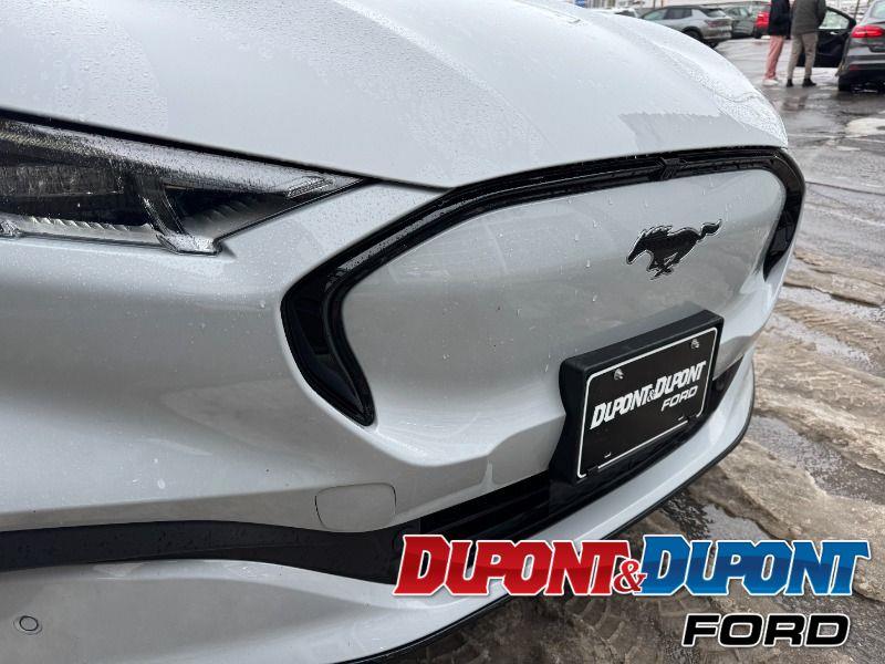 Ford Mustang Mach-e 18